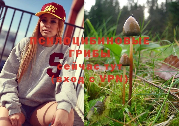 mdma Надым