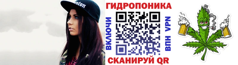 Шишки марихуана марихуана Сясьстрой